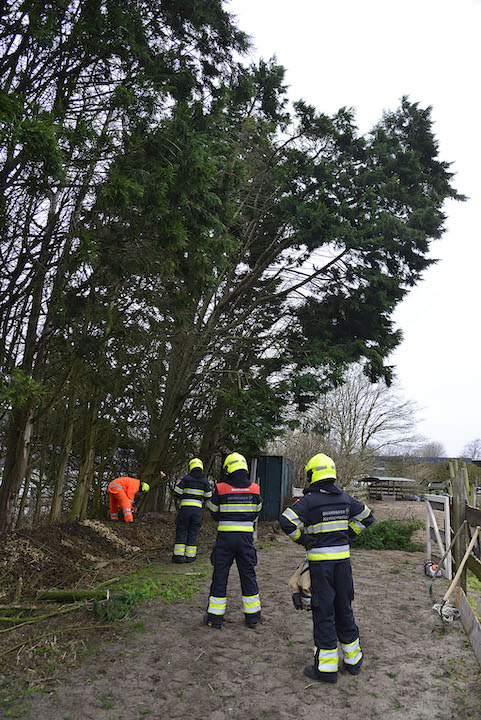 2022/22/20220131-13u38 GB 001 Aalsmeerderdijk stormschade.jpg